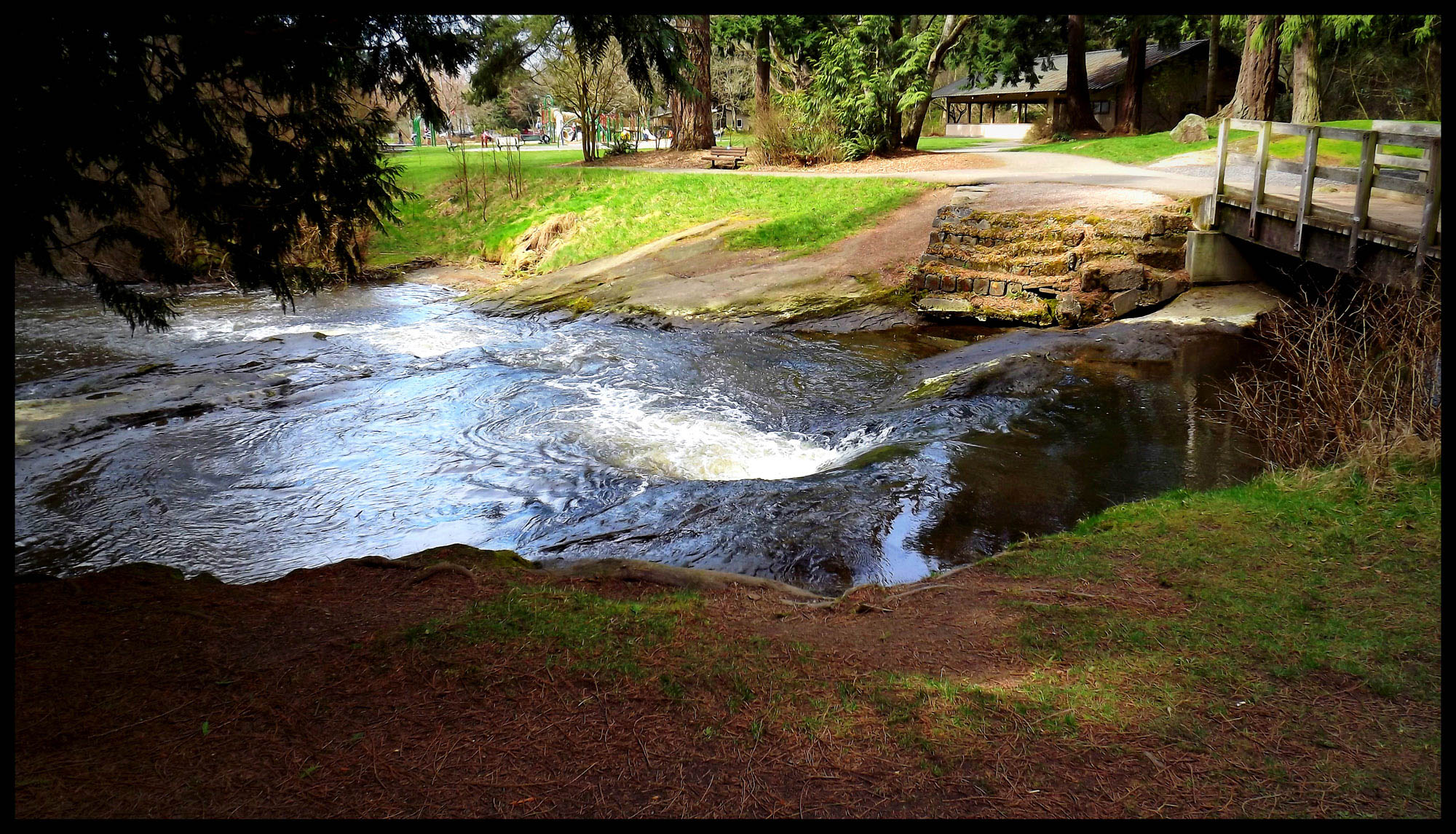 Cornwall Park and Creek.jpg