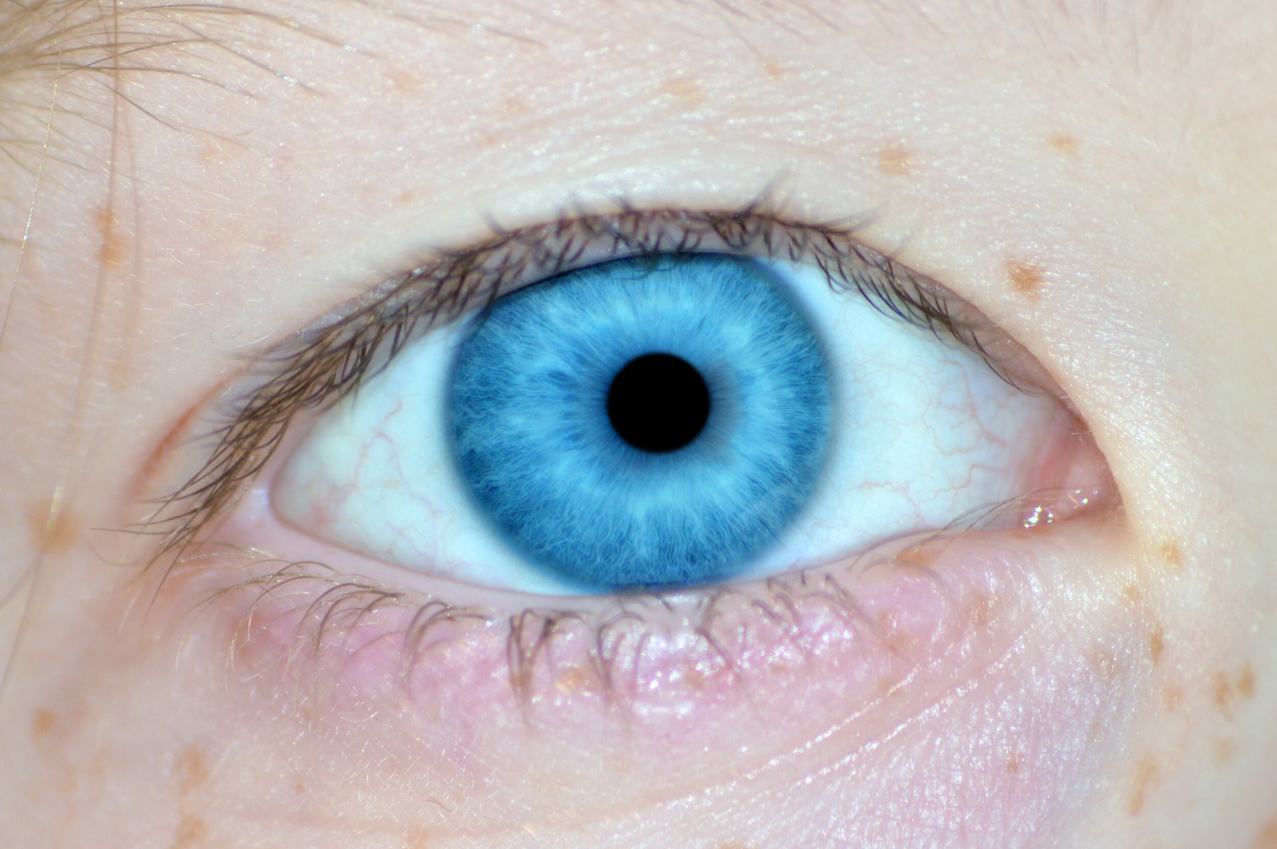 Eye-Blue.jpg