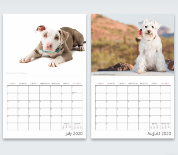 Jul-Aug.png