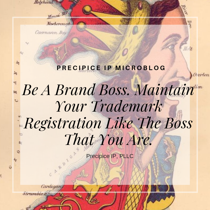 Precipice IP PLLC Be A Brand Boss. Maintain Your Trademark Registration Like The Boss That You Are.