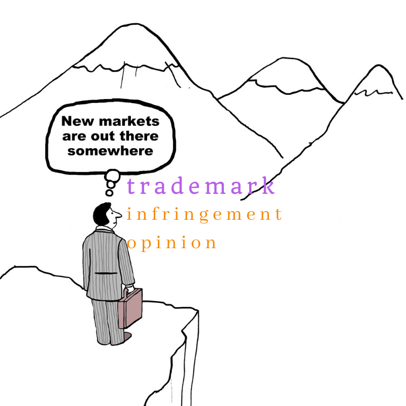 Trademark Infringement Opinion (United States)