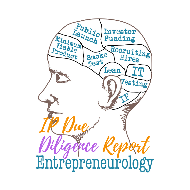 Precipice IP Due Diligence Report_PIP(1).png