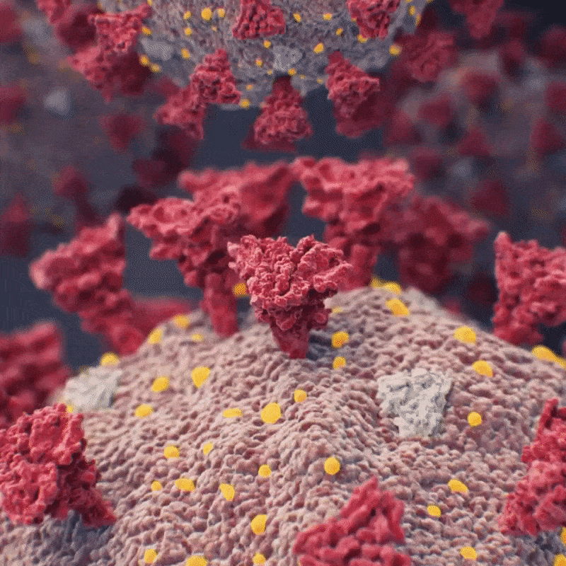 USPTO Provides Patent Help For COVID-19 😷 Innovations. Here’s What...