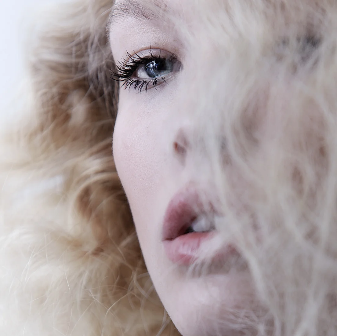 Genlux_01.292501cp.jpg