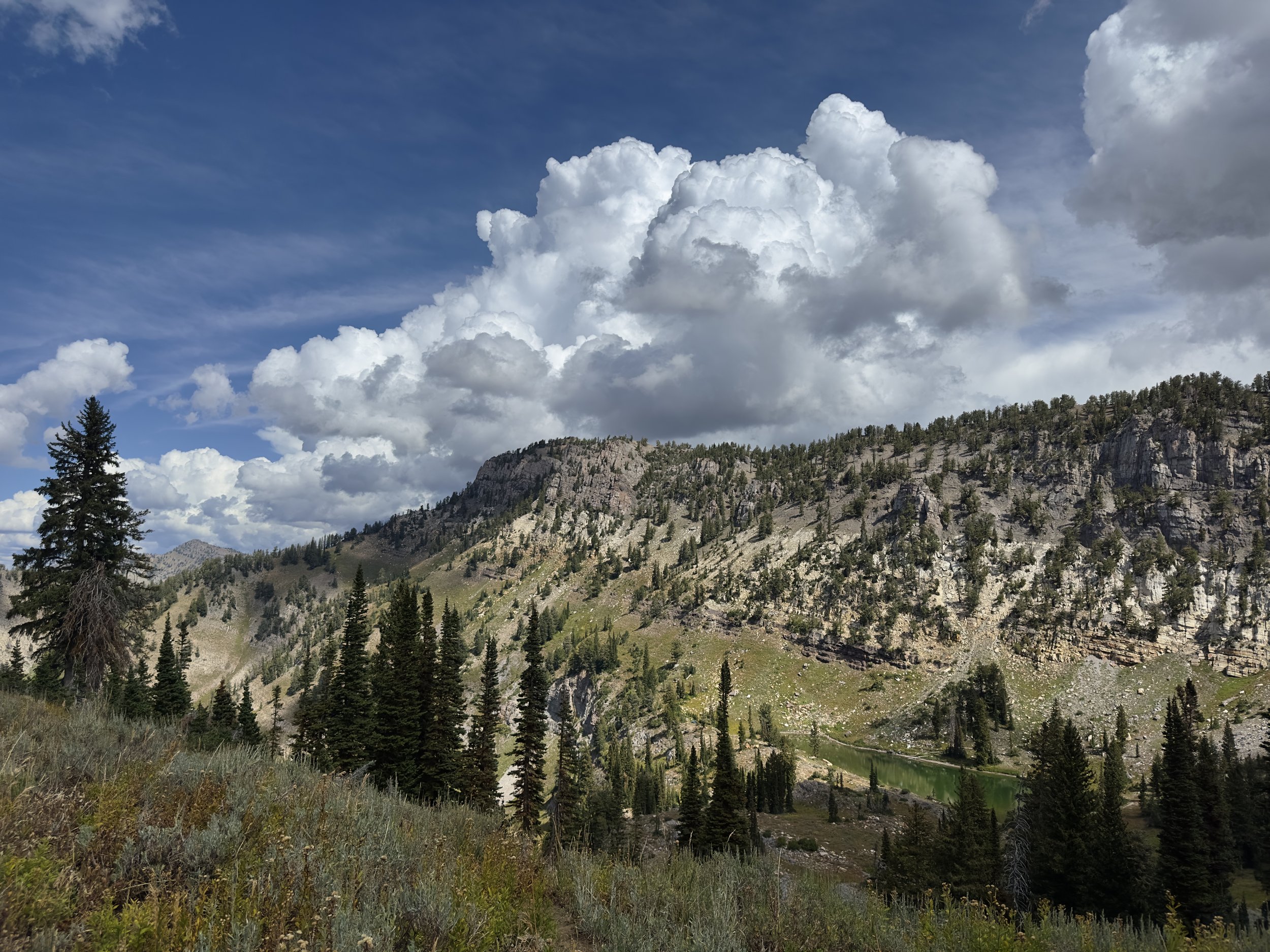 naomi &amp; cherry '25