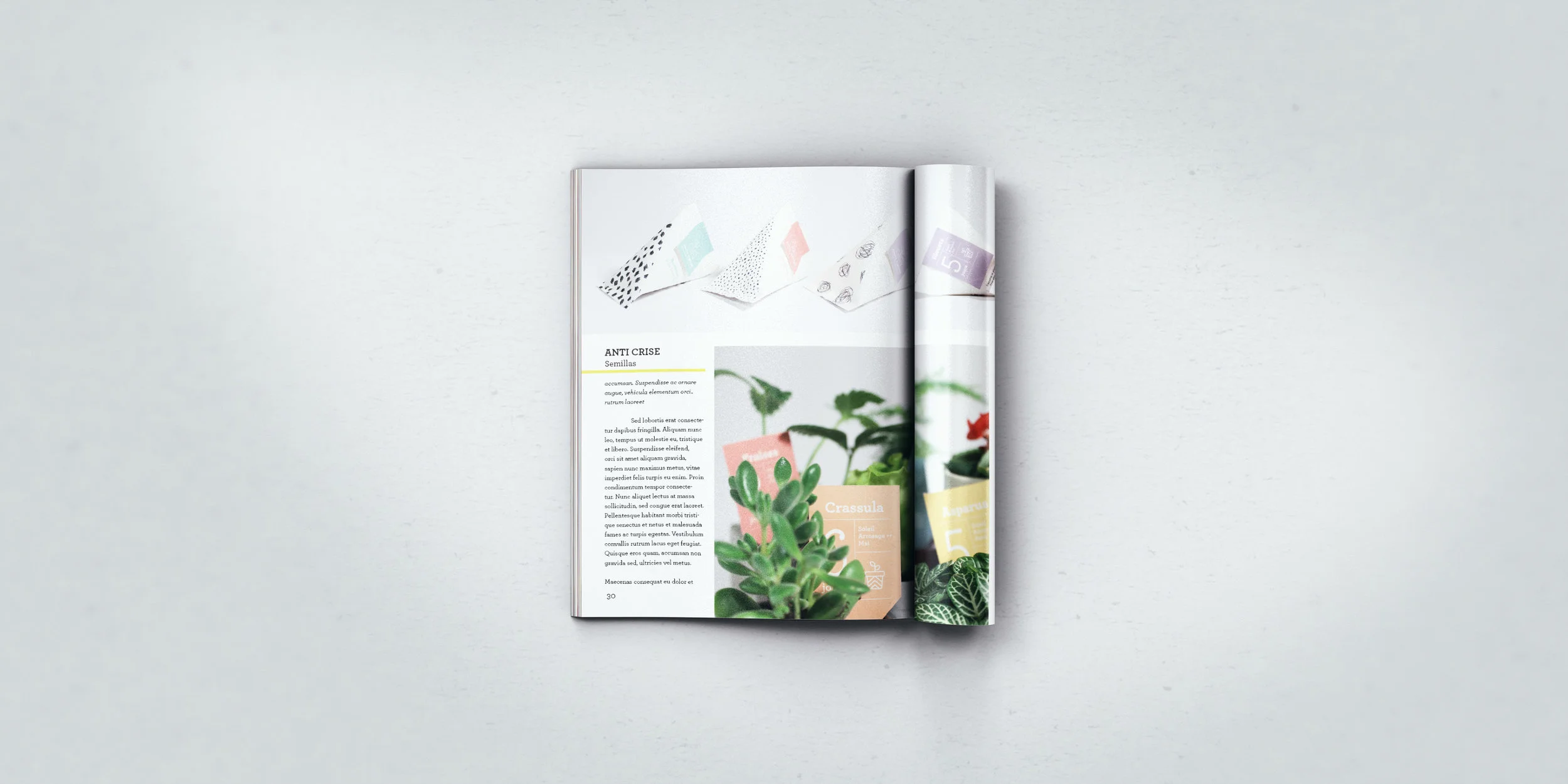 revista-3.jpg