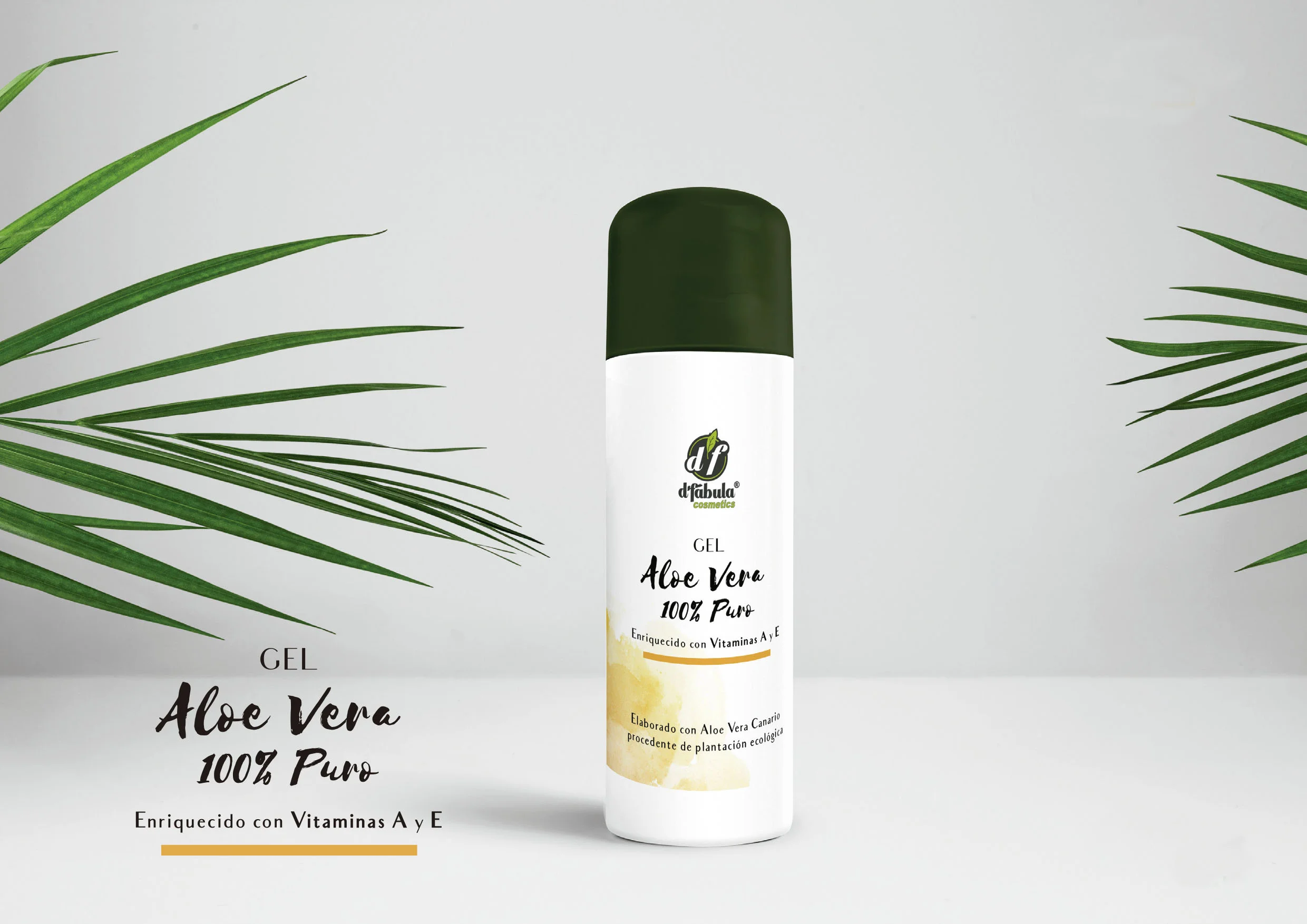 aloeVera.jpg