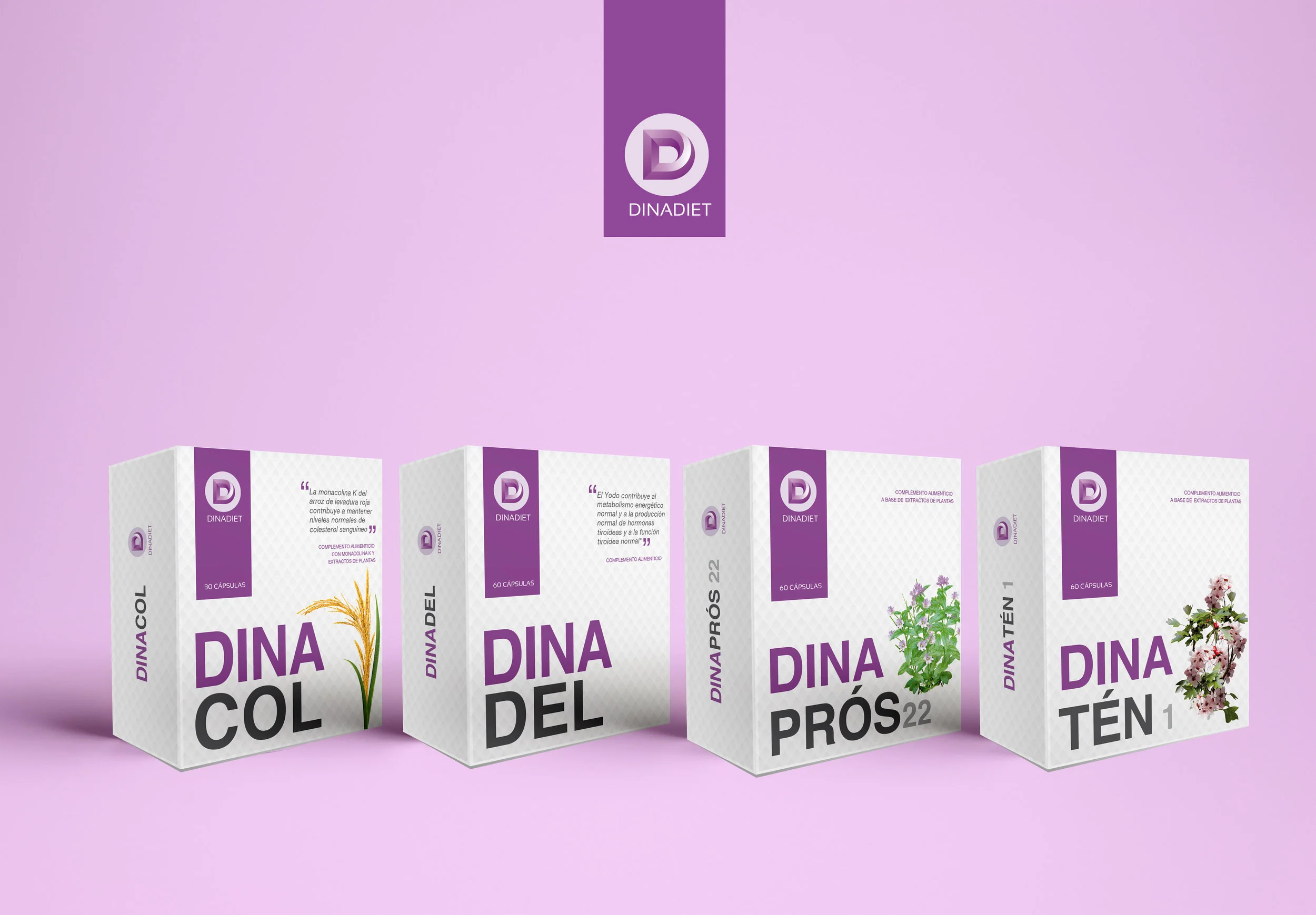 DINADIET_MONTAJE_1.jpg
