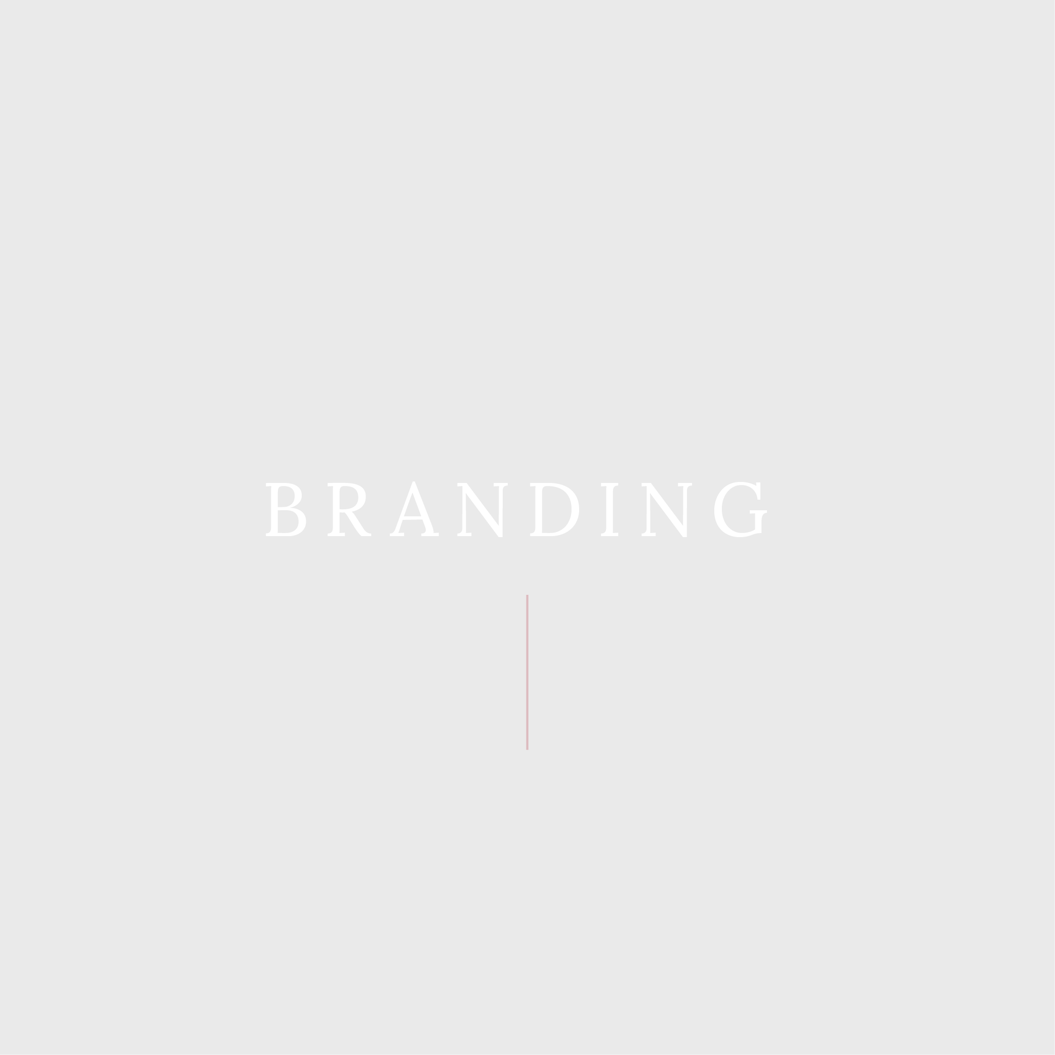 Branding Services.png