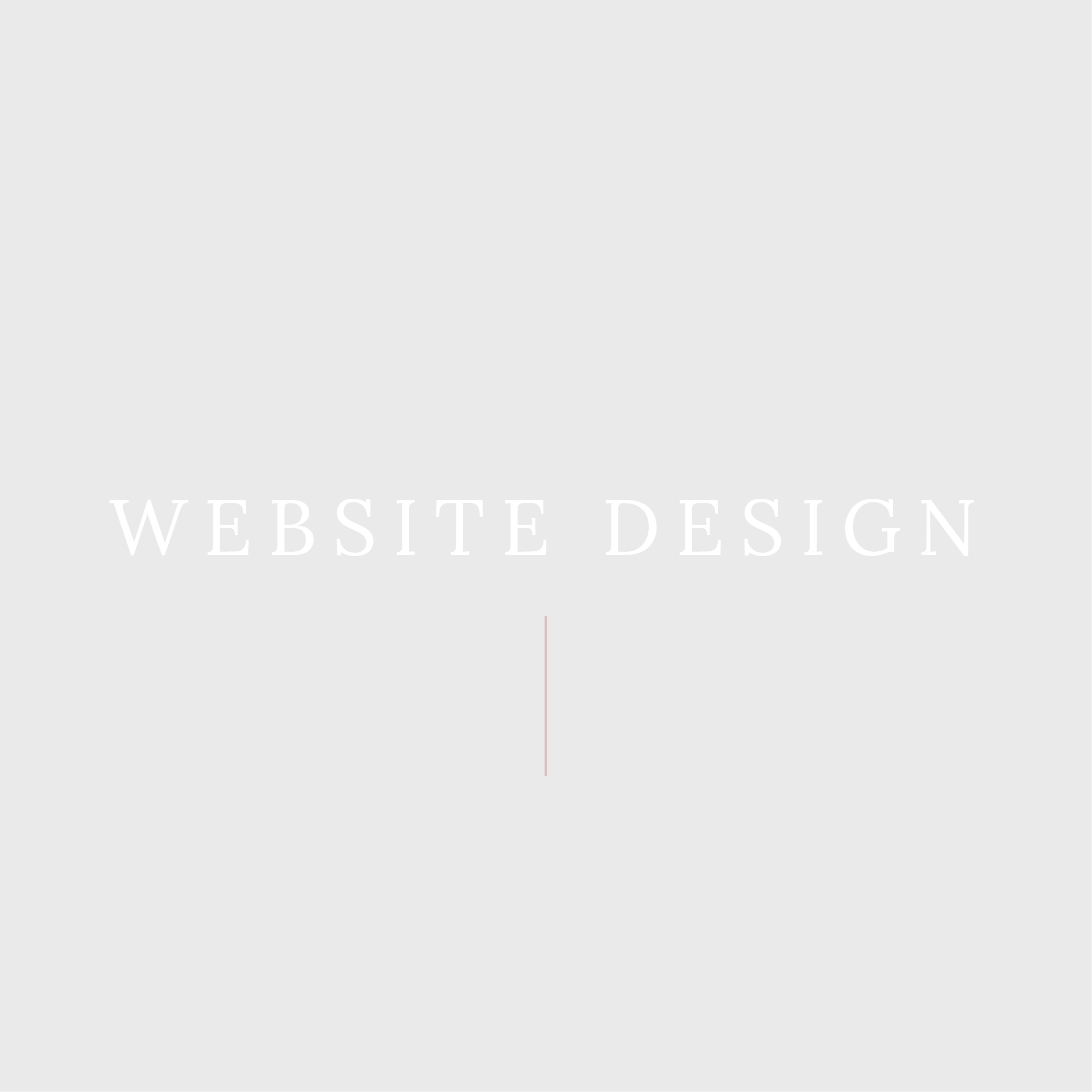 Website Services.png