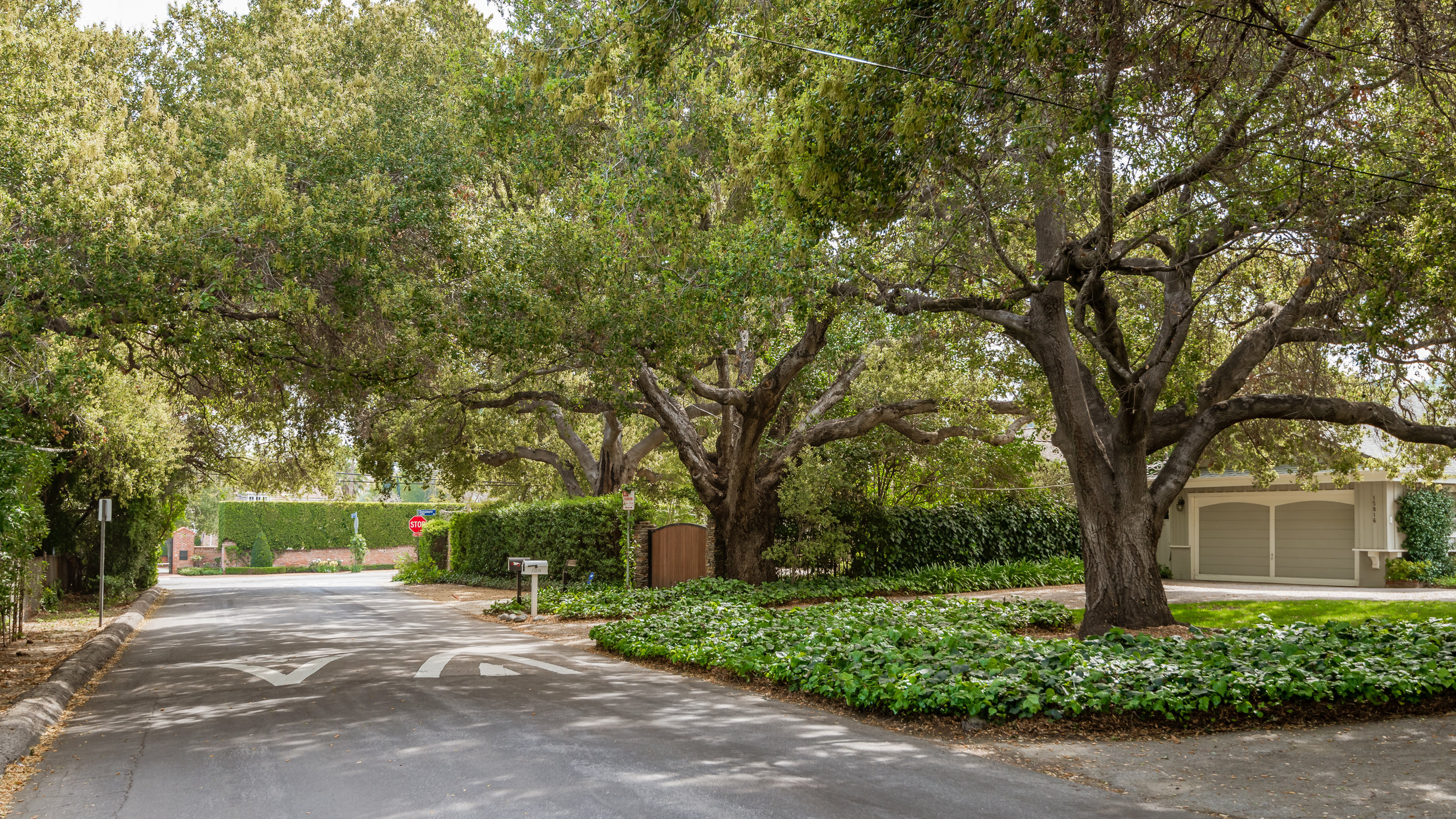 024_24-Neighborhood Streets.jpg