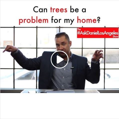 Can trees be a problem for my home?