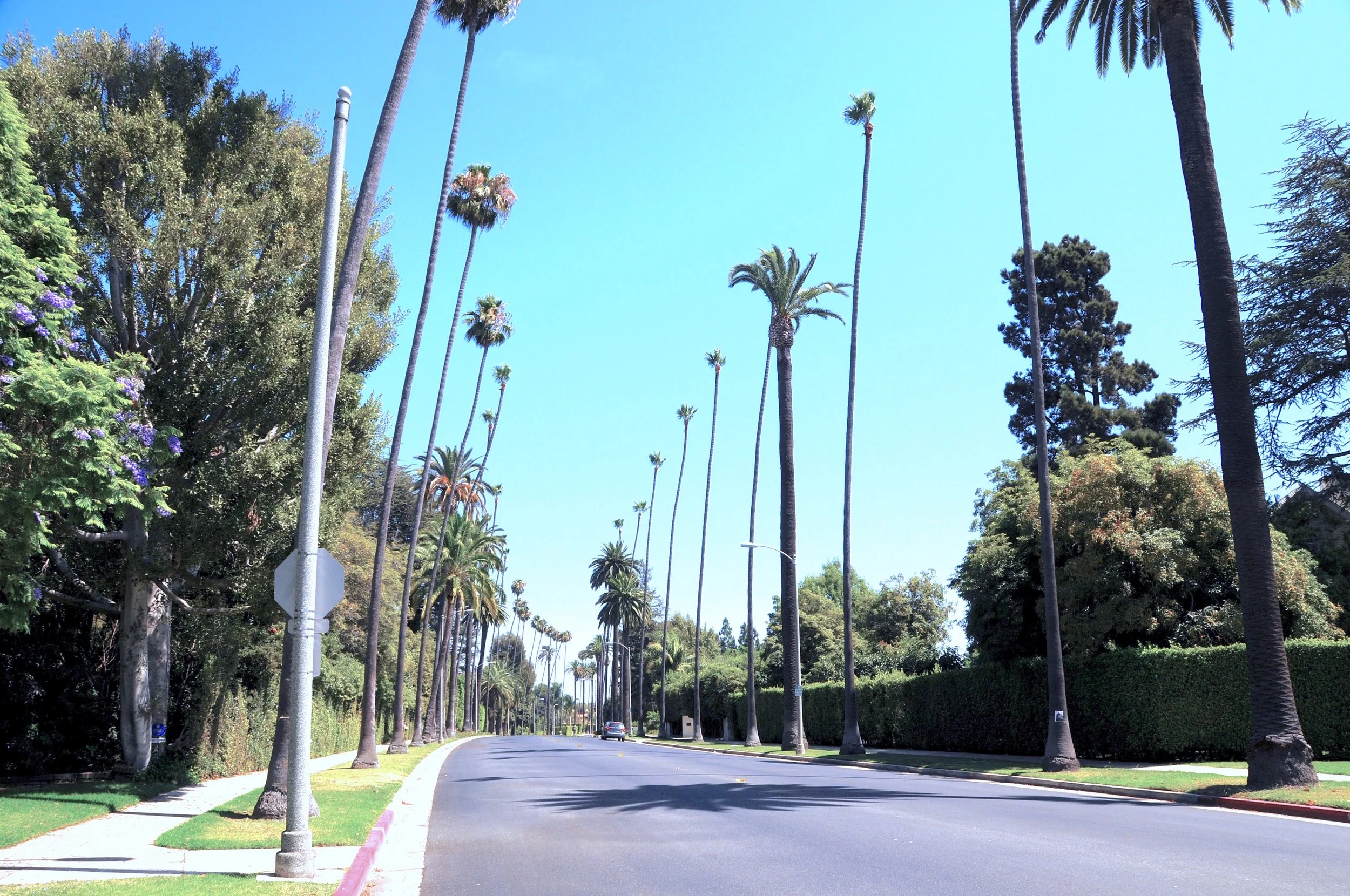 Original_Contempo_Background.jpg