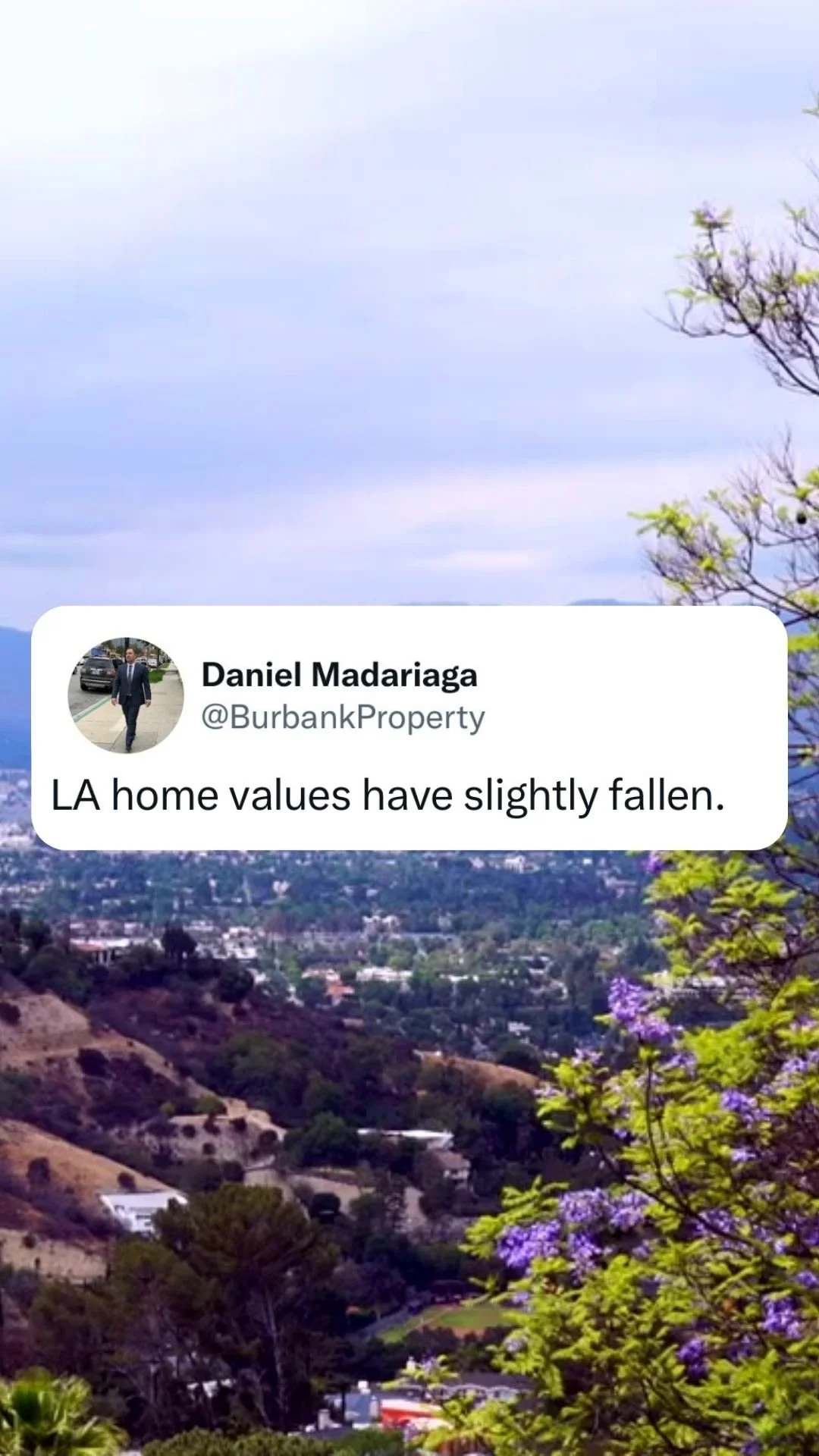 LA home values have slightly fallen — Contempo Realtors