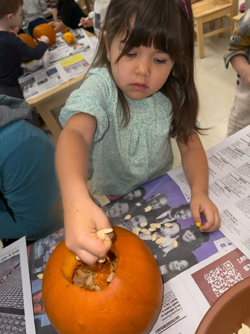 JPEG image-43B6-A227-C3-0.jpeg