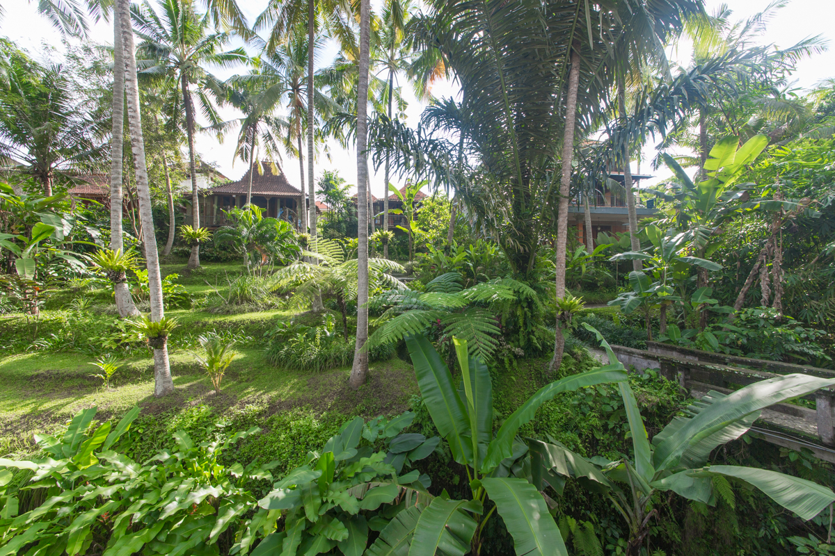 Bali-45.jpg