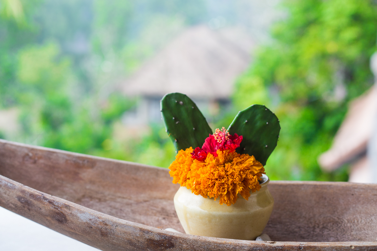 Bali-6.jpg
