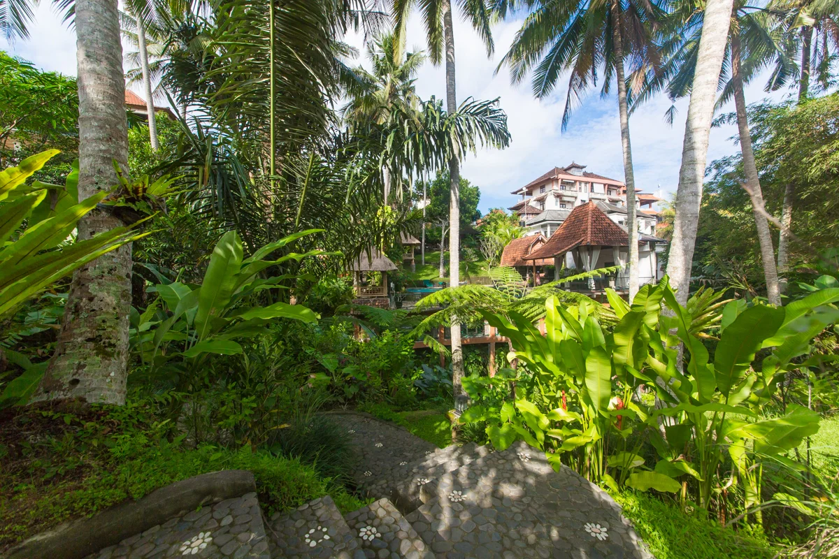 Bali-47.jpg
