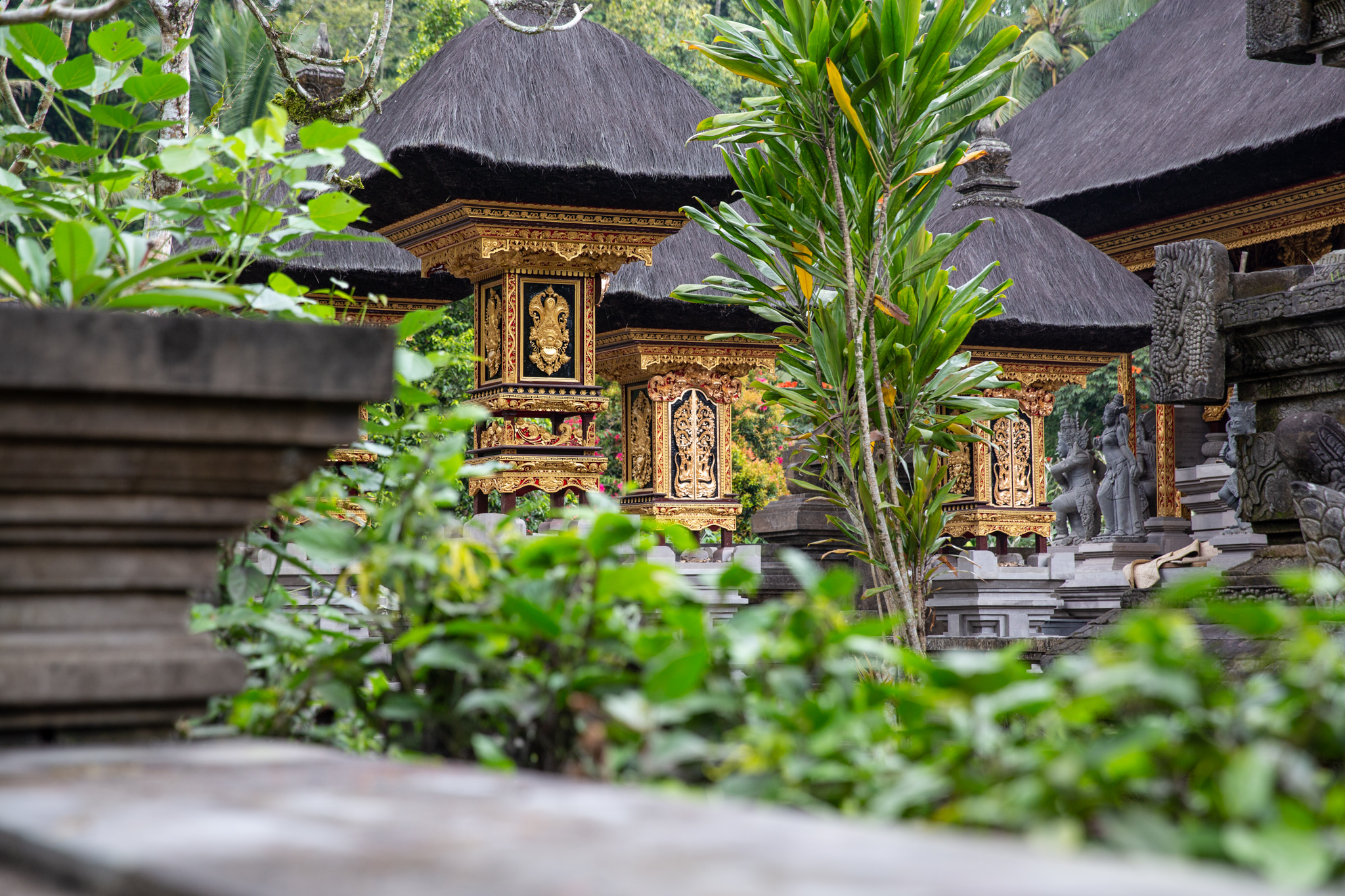BaliYogaRetreat-64.jpg