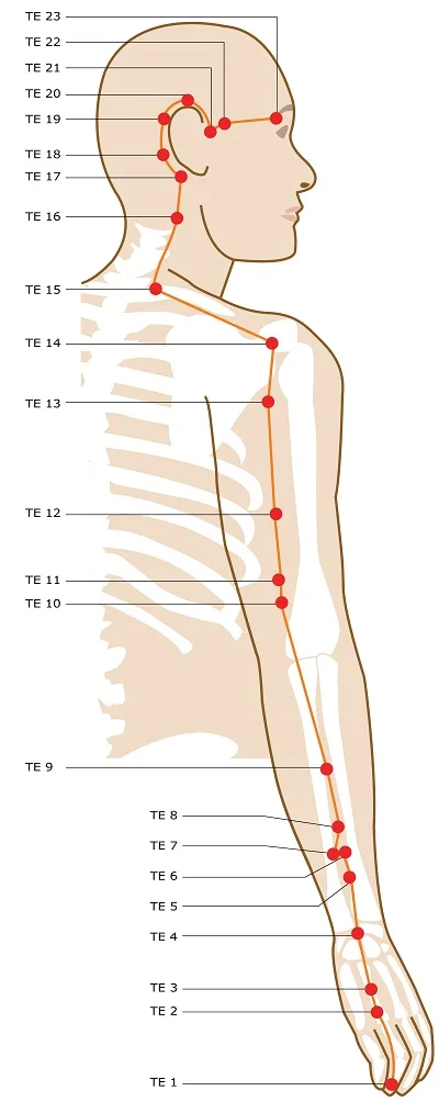 acupuncture-meridian-triple-energizer.jpg