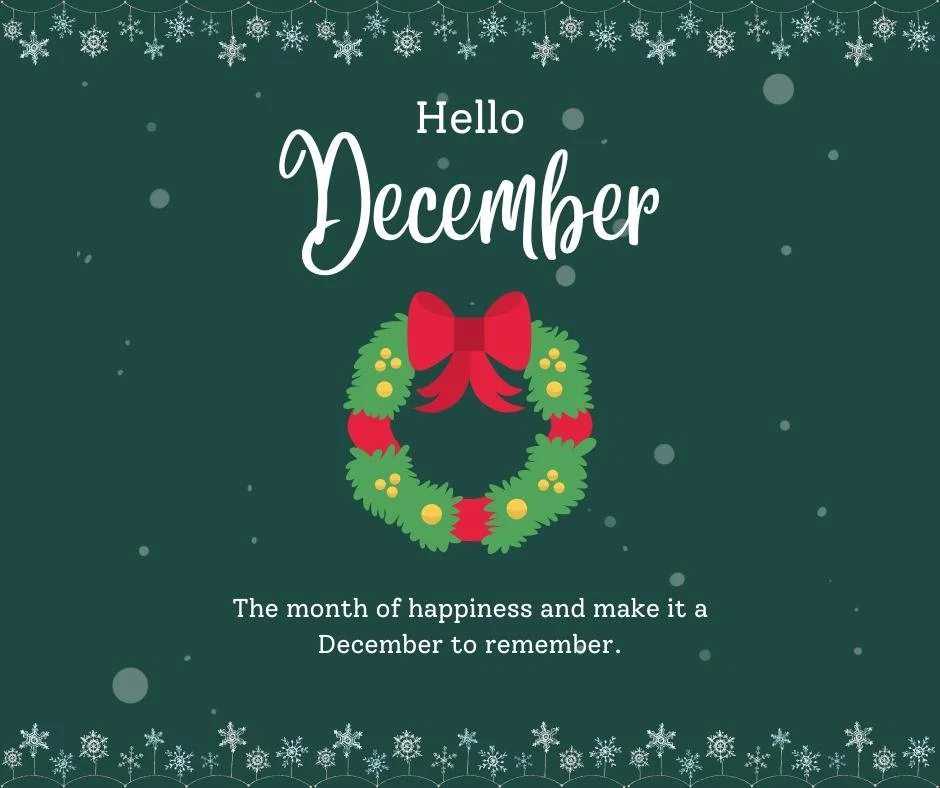 Happy National Christmas Lights Day! (&hellip;at least that&rsquo;s what Facebook says, and honestly, we&rsquo;re here for it. 😄)

Don't you LOVE how Christmas lights instantly brighten the season - and sometimes our moods&hellip; even if the ladder