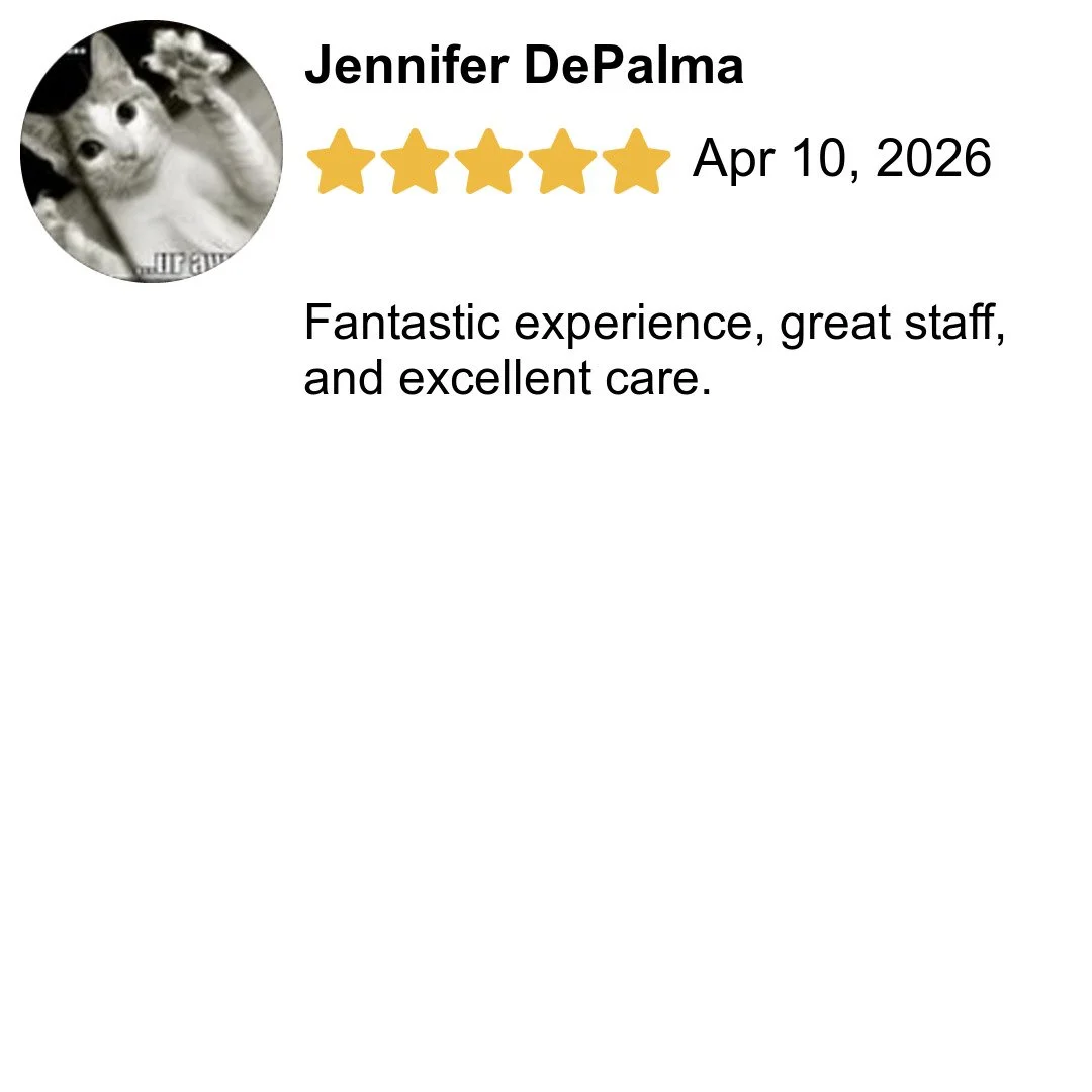 We just received another great review on Google: