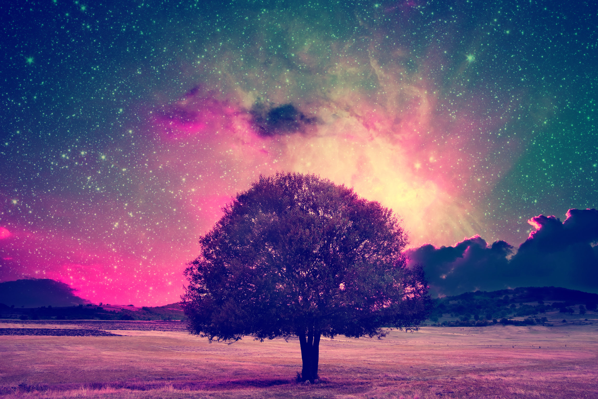 Playing with earth magic to create business abundance.jpeg
