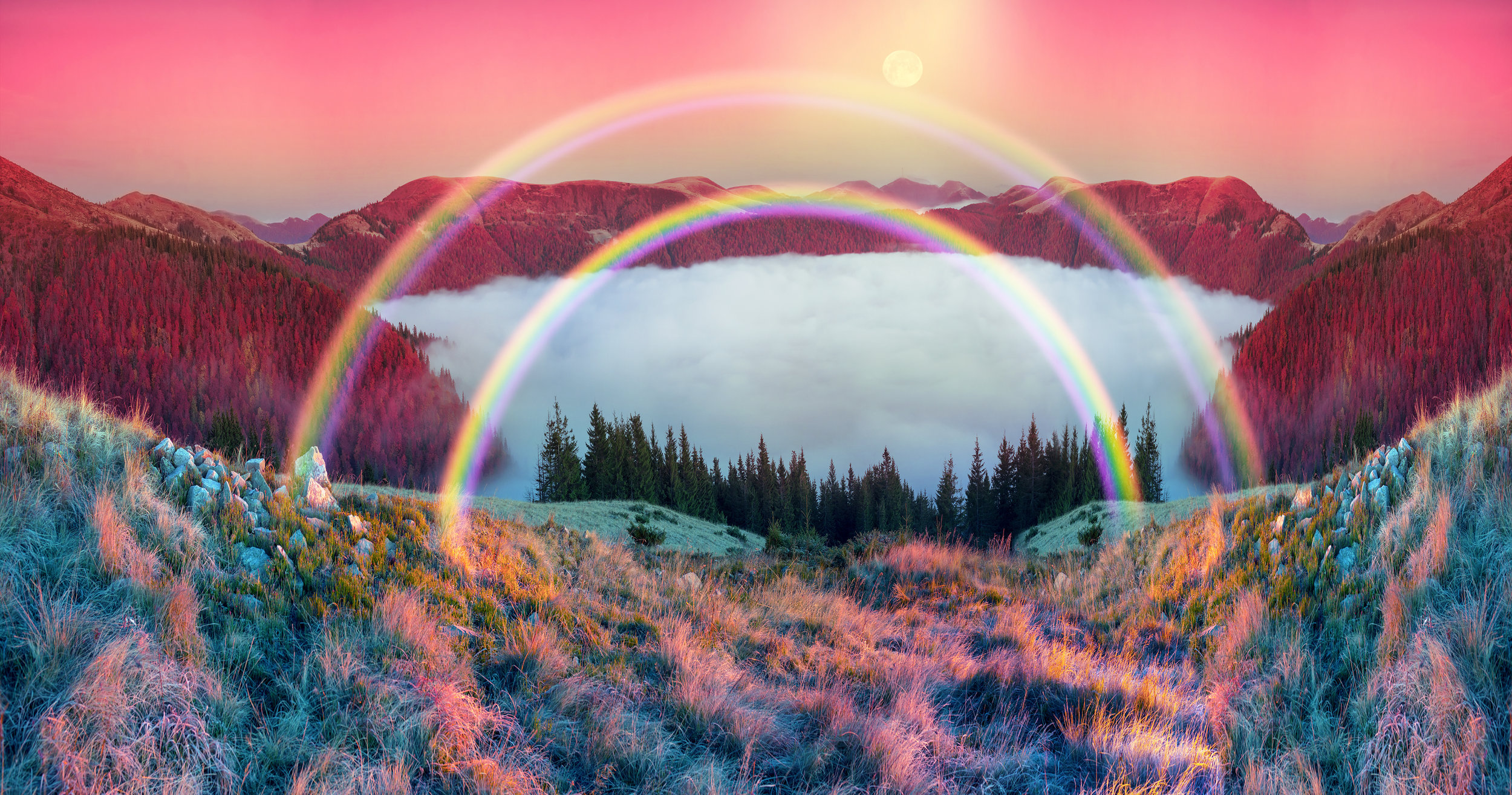 DOUBLE RAINBOW.jpeg