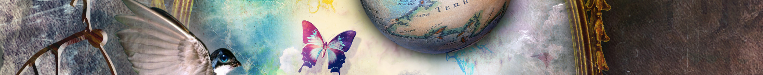 small cropped banner.jpg
