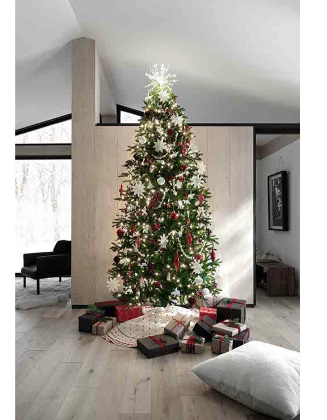 a little life during dark cold winter nights