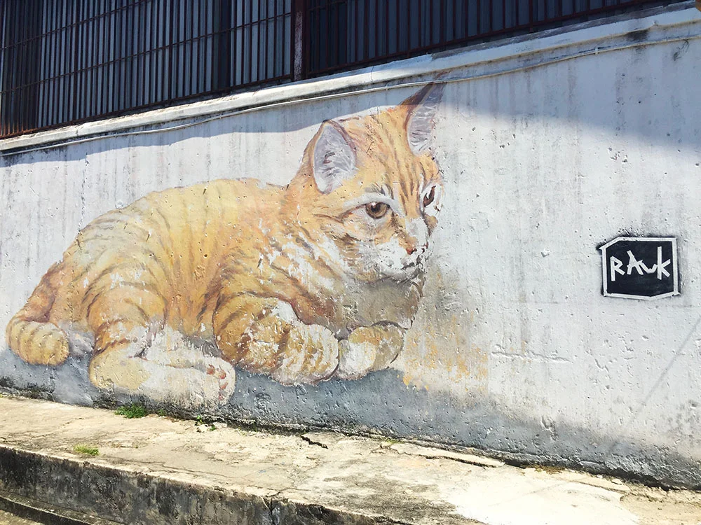 I'm not sure why... but cats seem to be a popular subject matter!