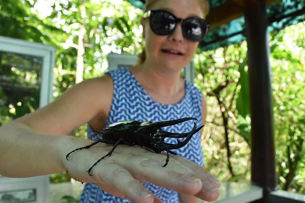 Somehow I was the one who ended up manhandling the huge bugs!