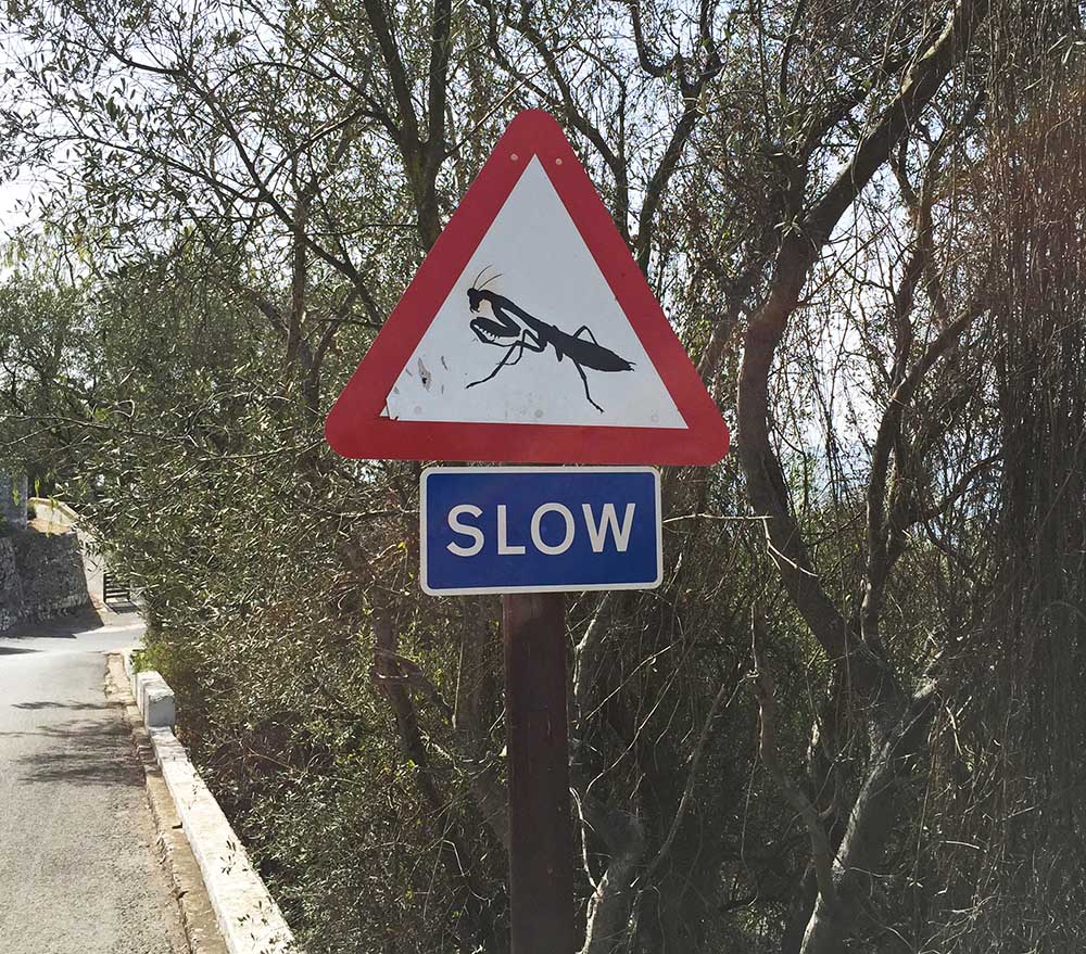 Just like in the UK, Gibraltar is enthusiastically adorned with street signs. Who knows what this one is warning us to slow down for on the walk down the rock, but it made me laugh!