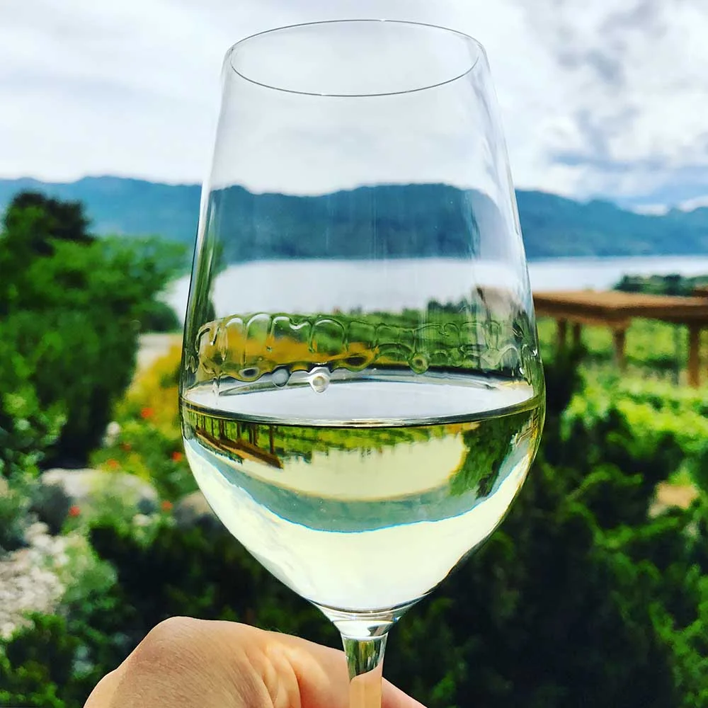 A crisp glass of white in front of Lake Okanagan. Cheers to an epic trip!