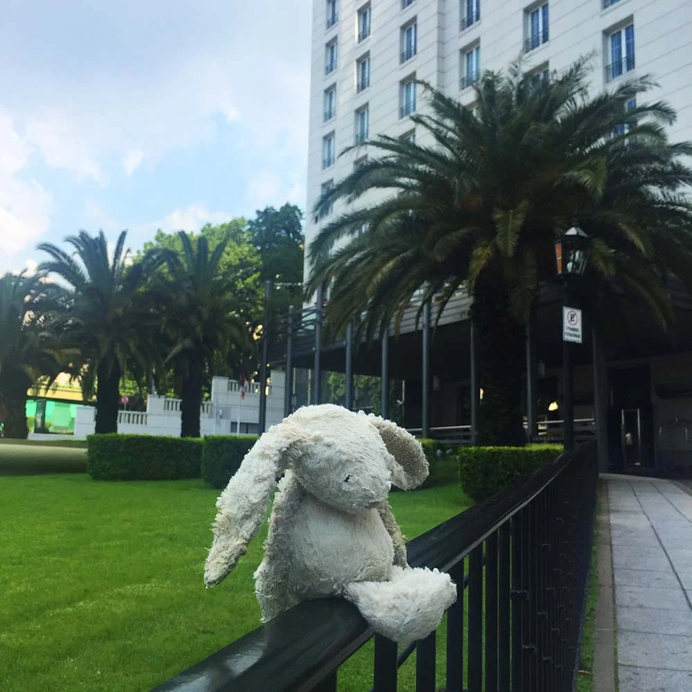 On one of our long walks, Rosie somehow dropped her beloved Dirty Bunny out of her stroller. We retraced our steps (for miles and miles!) until we saw her bunny sitting atop this park fence. A kind person had clearly figured out that a much loved toy had been lost, and sat him high up to make him easier for us to find. What a relief to be reunited with Dirty Bunny... at last!