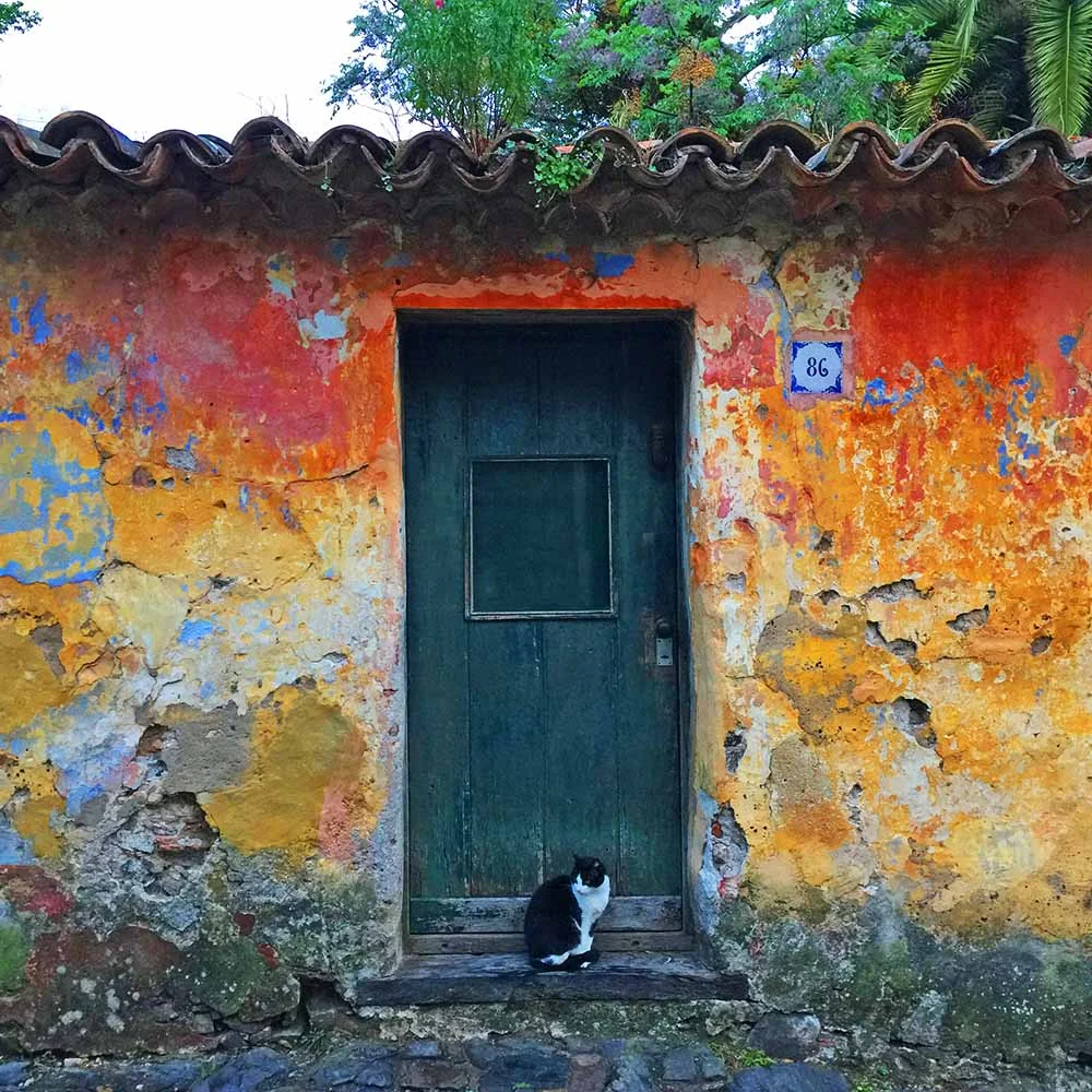 The rich, rustic colors of Colonia Del Sacramento. Isn't there something lovely and characterful about these time-worn walls?