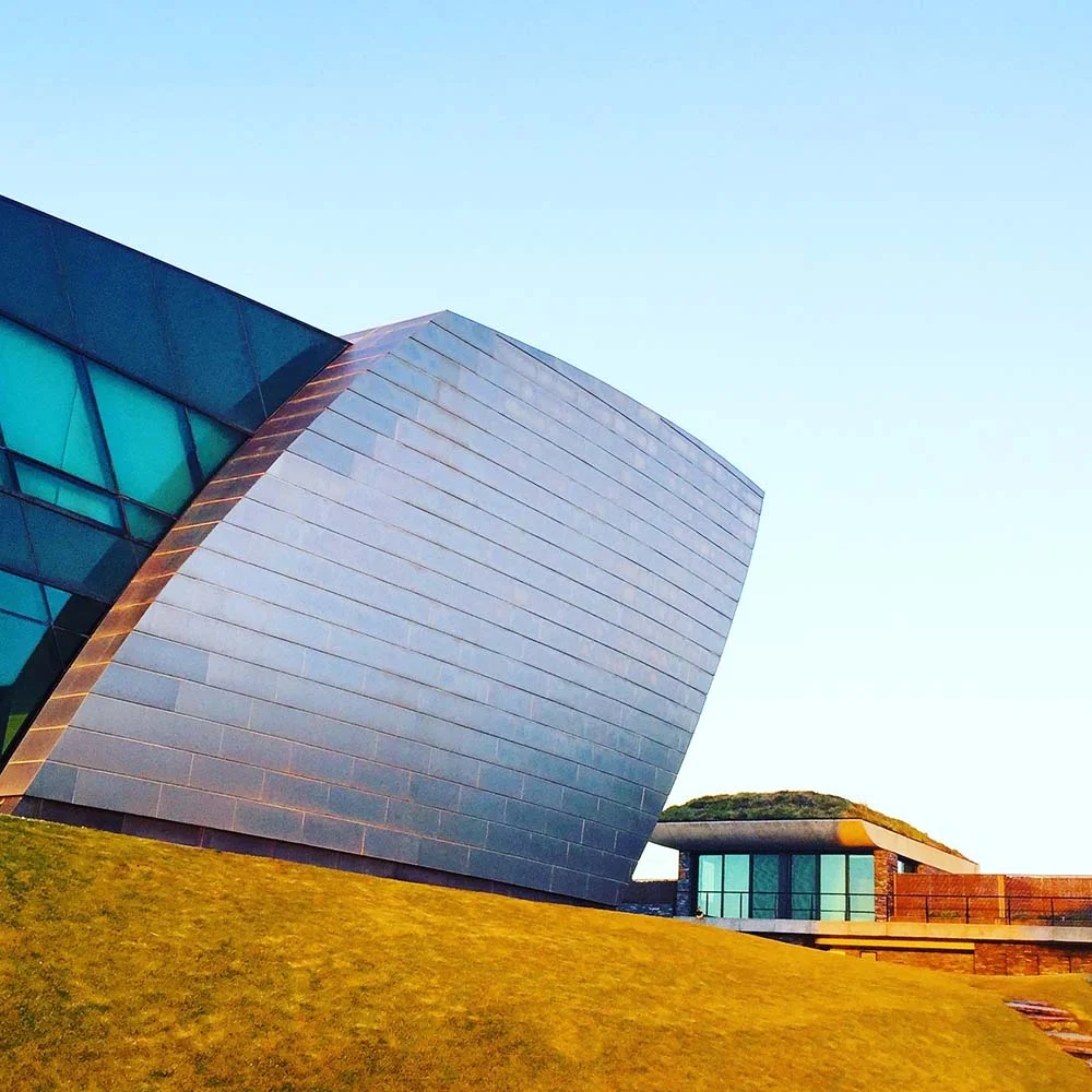 You can see the living roof on our 'casa' at Playa Vik. I really loved this hotel.
