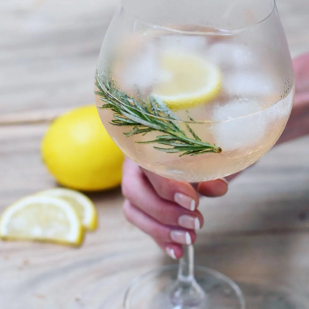 April 2017: Bali, Indonesia. Perfecting the ultimate Gin and Tonic. This version with Limoncello is the best yet. 