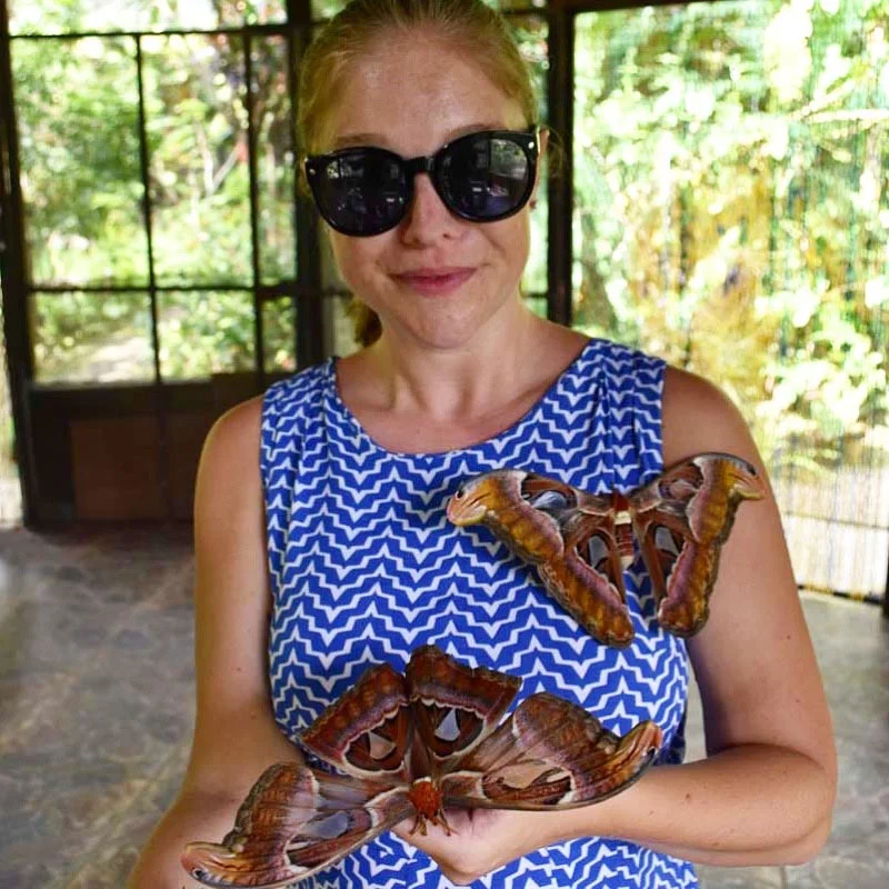 A day out to the Bali Butterfly Park with Rosie. 