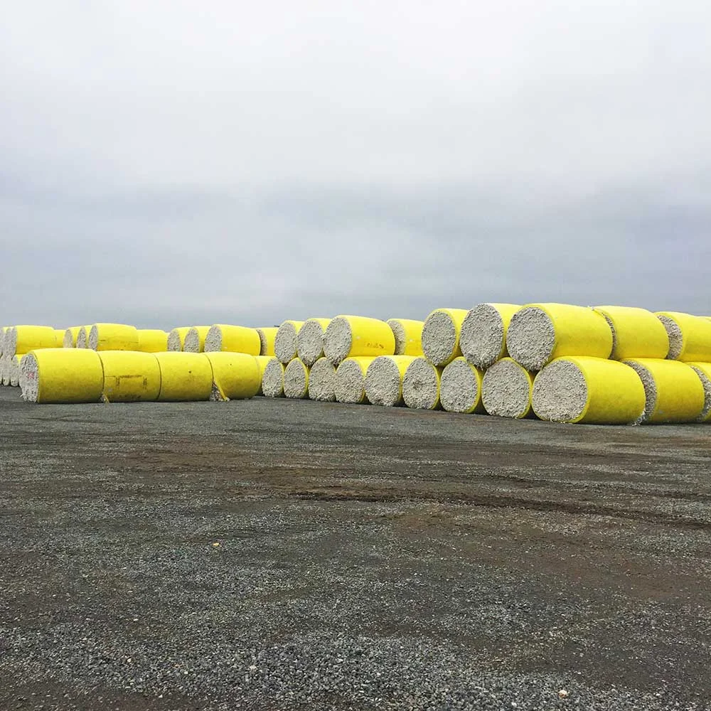 On the way to Tennesey, we drove through Wilson and the largest cotton plantation in Arkansas. This photo shows the enormous bails of cotton, piled up in rows for as far as the eye could see.