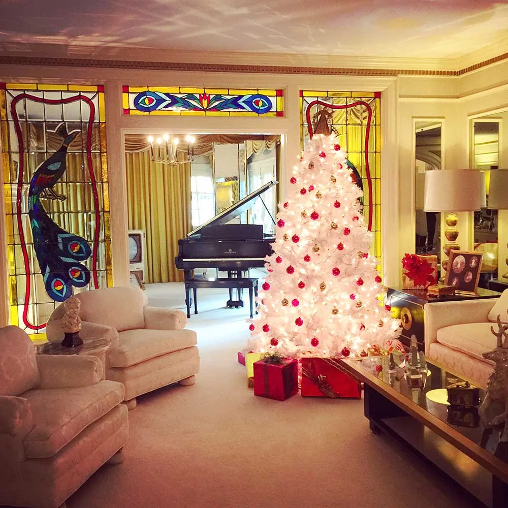 We all loved the Graceland tour, and you don't necessarily need to be an Elvis fan to enjoy it. 