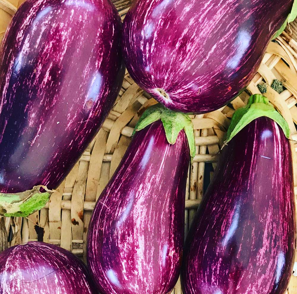The most clorful eggplants I've ever seen.