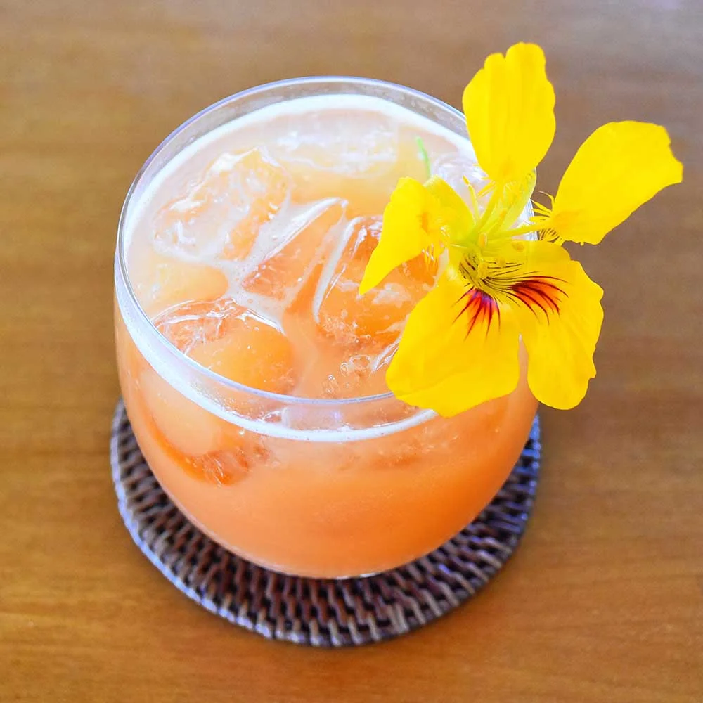 "Firefly" is one of my favorite cocktails from La Lucciola: Bacardi, Cointreau, Campari, blood orange, and fresh lime.