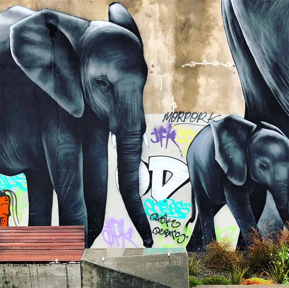 I thought this elephant mural was so beautiful, echoing the city's slow and steady path to recovery.