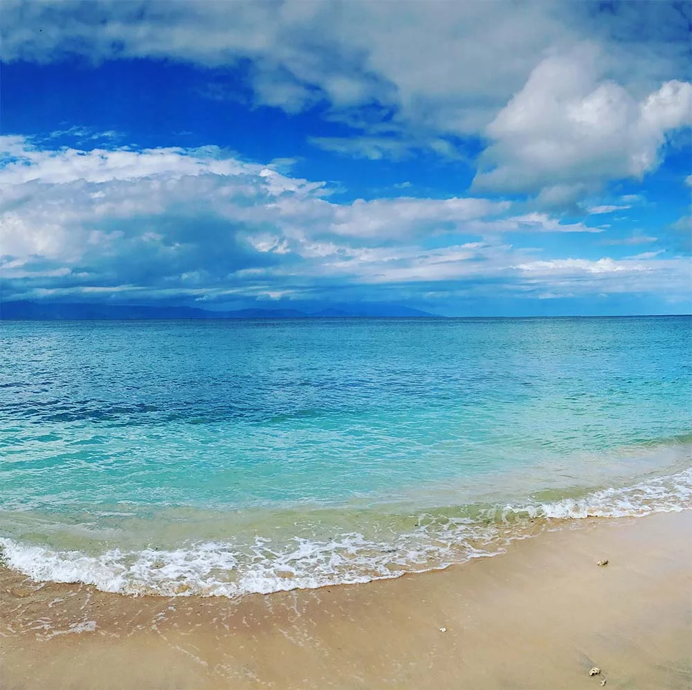 We explored the coast on our bike, and found this beach just off the side of the road. 