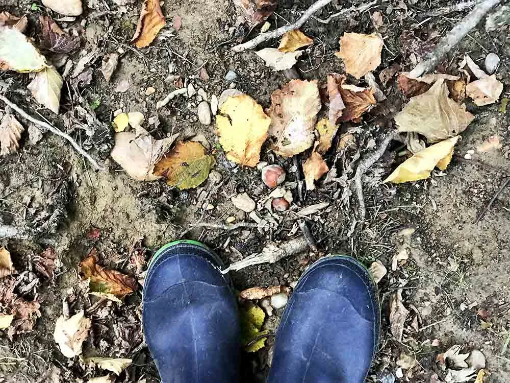 Here you can see some of the fallen hazelnuts on the ground, in front of my boots.