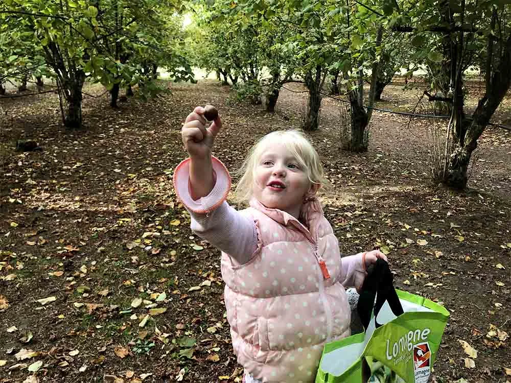 Rosie, proud of her success finding nuts among the autumn leaves.