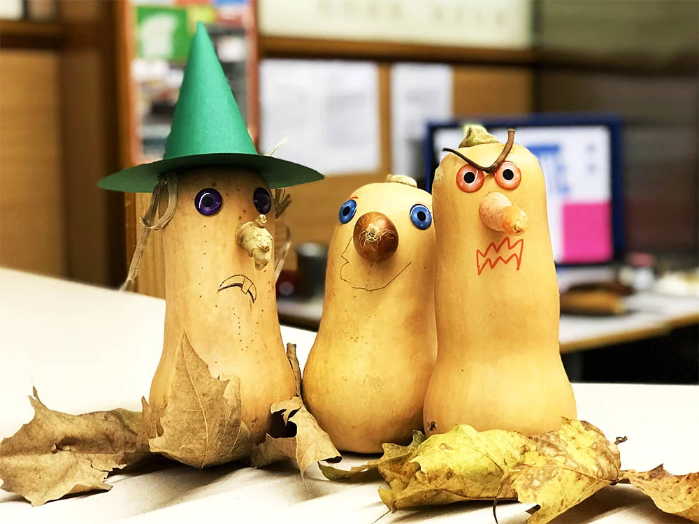 Hilarious butternut squash, decorated for Halloween by some locals in a nearby village. I love the one with the ginger nose, that looks like a huge wart.