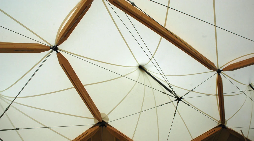 BAKOKO_CSP_Structure2-1024pix.jpg