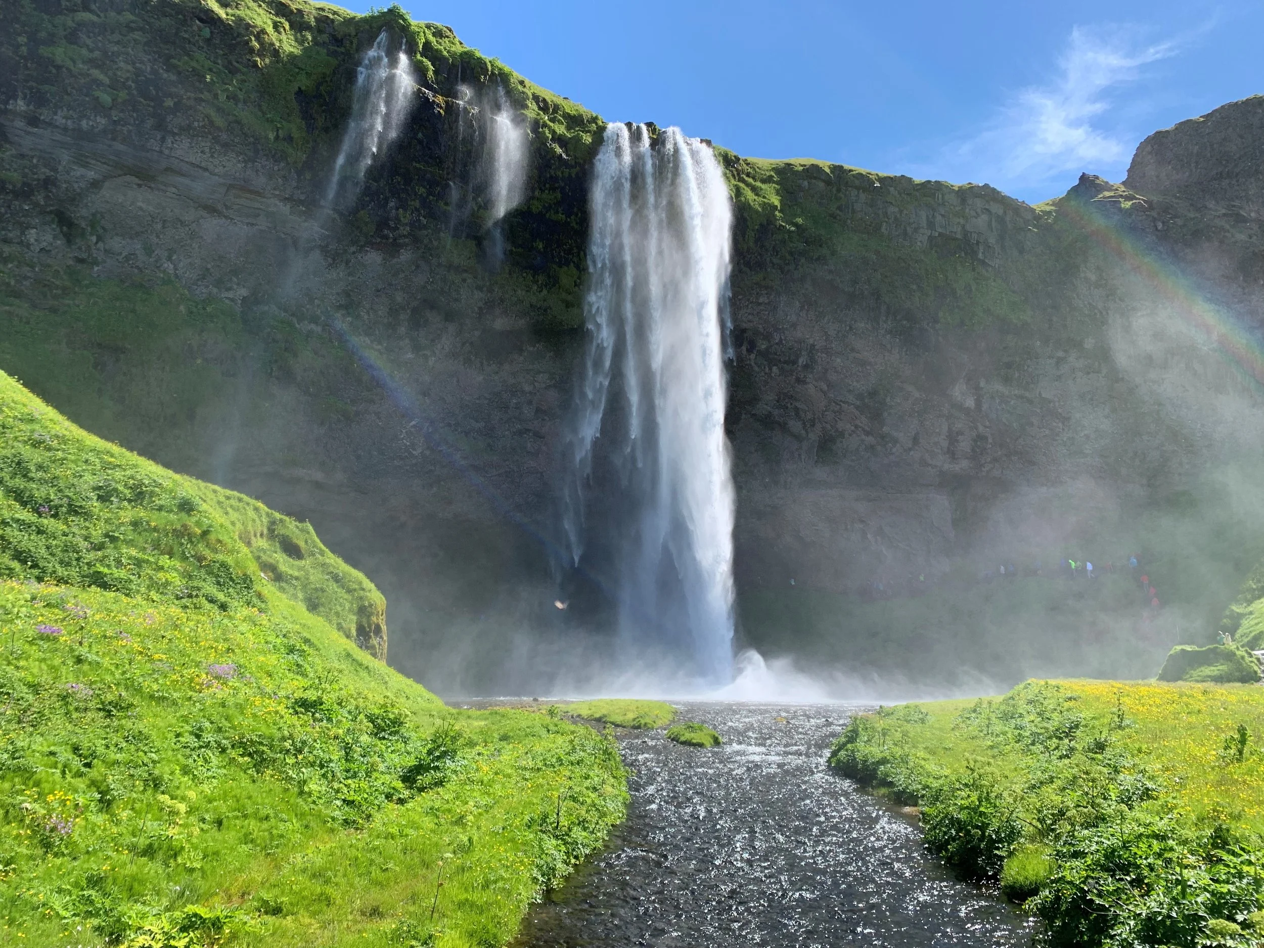 Welcome to the lush life in Iceland
